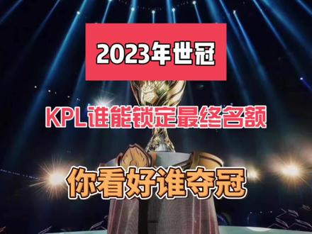 葡萄牙队此